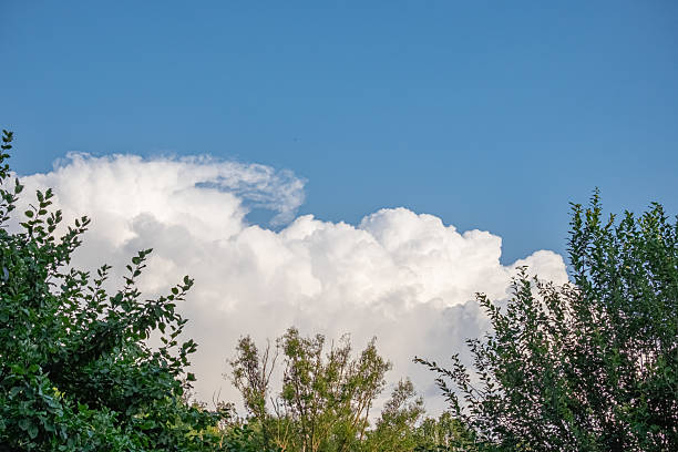 istock Lush green trees frame a bright blue sky filled with fluffy white clouds, creating a serene and peaceful atmosphere in a natural outdoor setting 2229277302