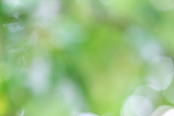 istock Soft green bokeh background with blurred natural elements creating a serene atmosphere, ideal for design projects needing a calming and fresh visual aesthetic 2229277316