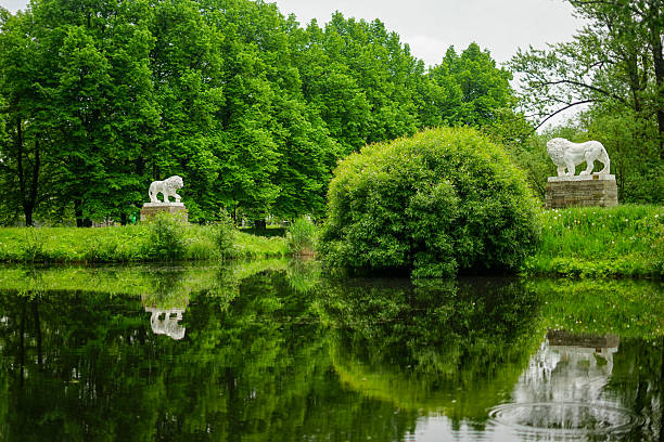 istock Lions in the Park 2229277400