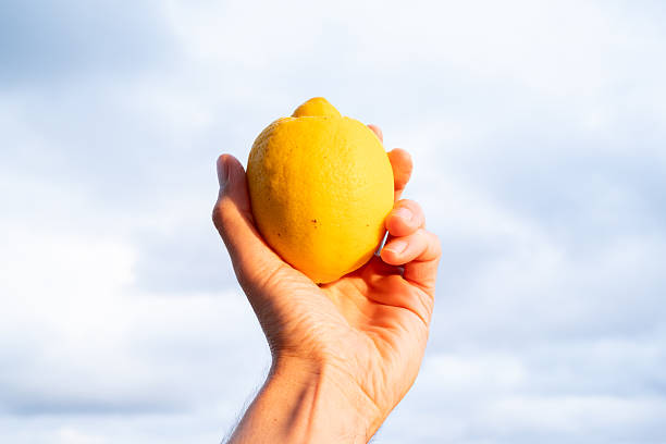 Hand holds a single, ripe lemon against a backdrop of a cloudy sunset sky, creating a vibrant contrast between the yellow fruit and the soft, colorful hues of the evening