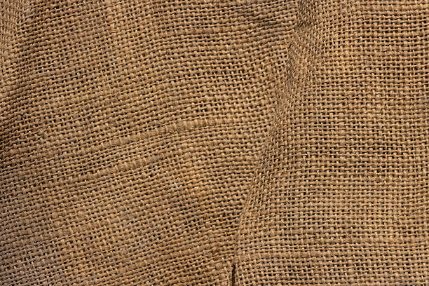 istock Hemp 