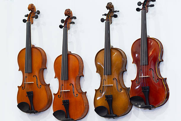 Classic violins on wall in music store. Musical instruments