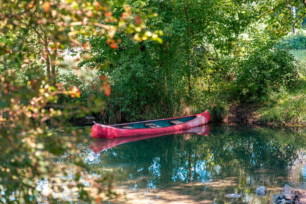 Red canoe floating peacefully on a calm river surrounded by lush green forest, creating a serene and tranquil scene