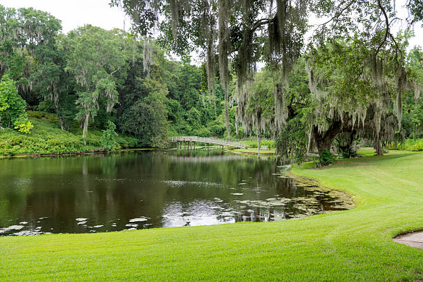 istock Middleton Pond with Mossy Oaks 2229299788