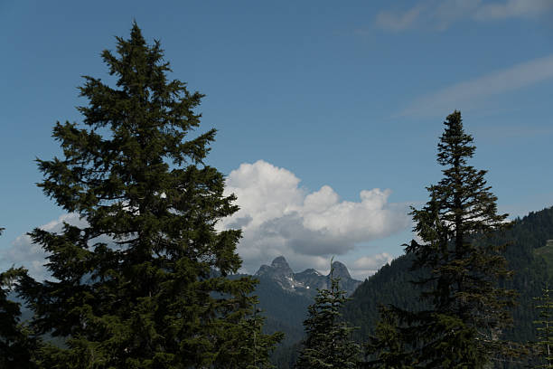 istock Looking from  Cypress Mountain elevation at  North Shores peaks and Capilano Lake - 2 2229300277