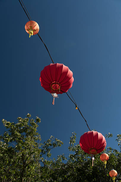 Red lanterns over Fisgard street -4