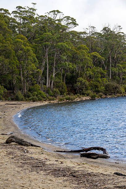 istock Beach on Cynthia Bay, Tasmania, Australia 2229300868