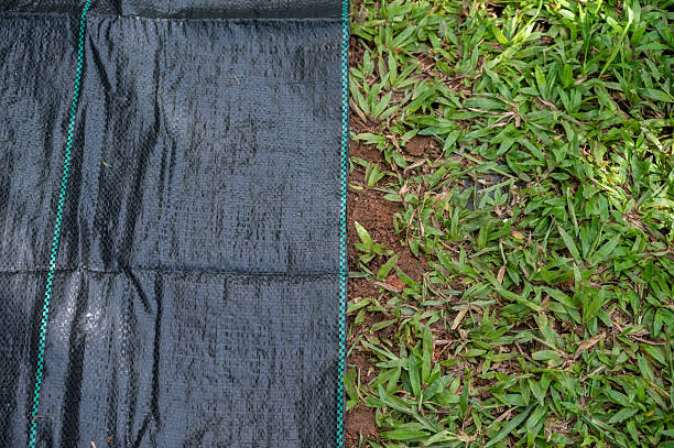 istock High angle view of black plastic sheeting covered soil for preventing weed growth. 2229309808