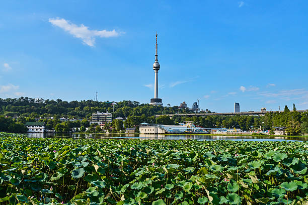 istock Wuhan TV Tower 2229314701