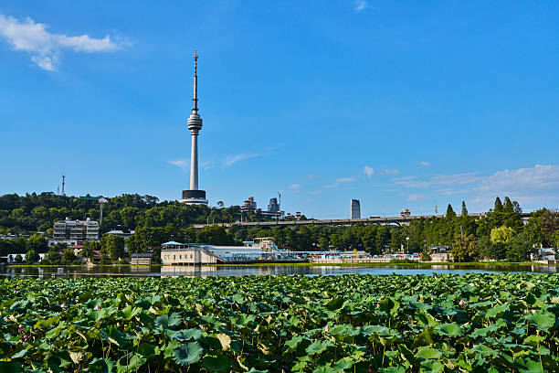 istock Wuhan TV Tower 2229314709