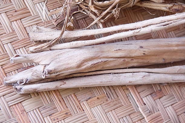 Close up dry broussonetia papyrifera tree branch on bamboo mat background prepared for make sa paper mulberry