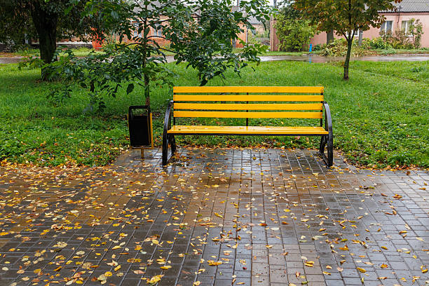 Bright yellow bench in a park after rain, surrounded by wet pavement and scattered autumn leaves with lush green grass.