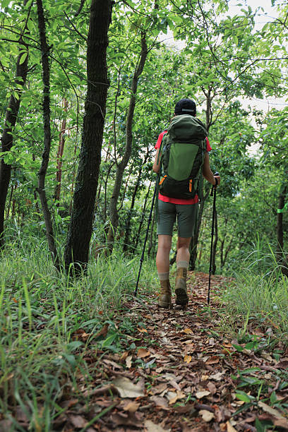istock Woman hiker hiking on forest trail 2229331101