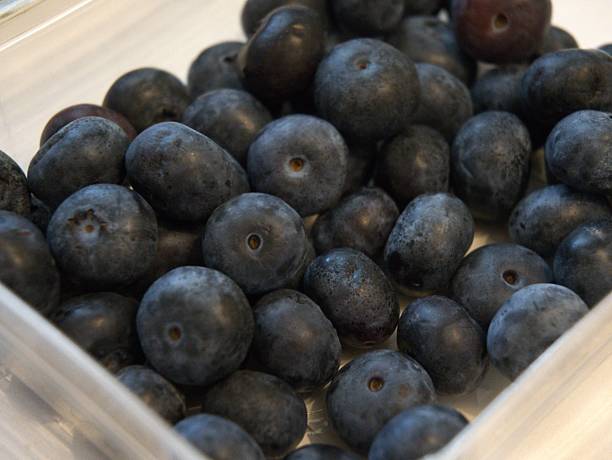 istock Fresh Blueberries in Transparent Plastic Box on White Background 2229332532