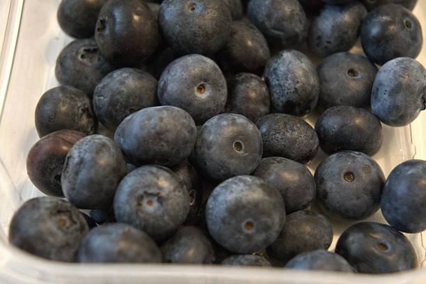istock Fresh Blueberries in Transparent Plastic Box on White Background 2229332541
