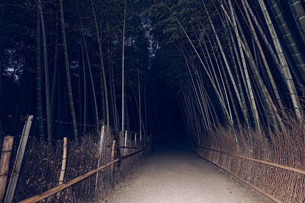 Flash of light cuts through Arashiyama bamboo grove before dawn, freezing the quiet rhythm of trunks and fences in the look of nostalgic film photography