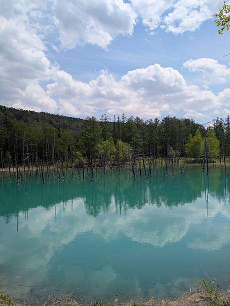 istock Shirogane Blue Pond, Biei - Japan 2229348073