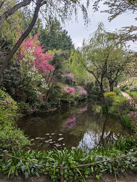 istock Tranquil Garden around a pond in Japan 2229348099