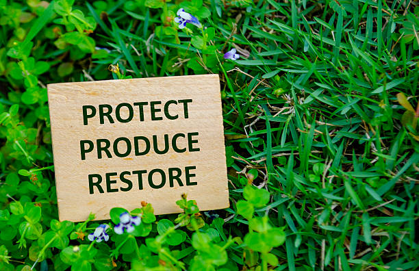istock PROTECT, PRODUCE, RESTORE, Wooden cube with conservation message placed on grass background advocating environmental protection and restoration 2229355784