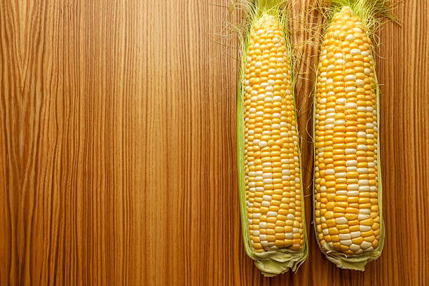 Two vibrant golden corn cobs resting on a rustic wooden table, illuminated by soft natural light. Perfect for themes of agriculture, harvest, organic farming, and wholesome nutrition.