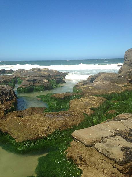 istock Catherine Hill Bay and Caves Beach 2229357454