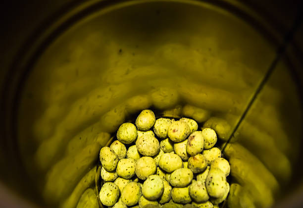 Hazelnuts on the white background with copy space