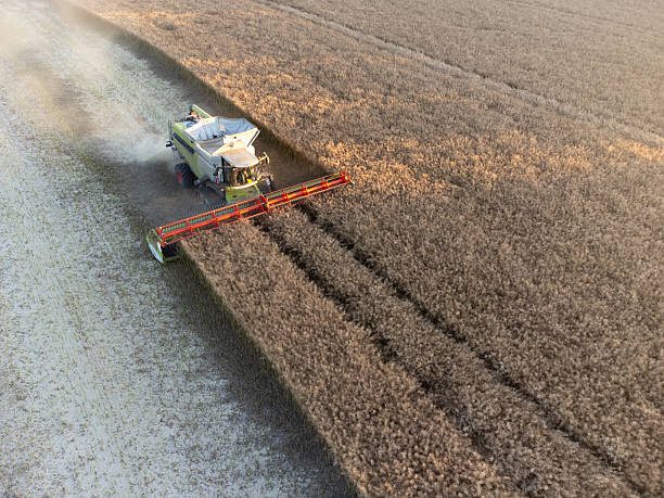 istock Agricultural stock photo 2229359553