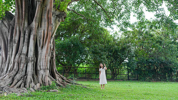 istock Young woman stands beside large, ancient tree in lush green park. tree thick roots and expansive canopy create serene atmosphere, inviting sense of peace and connection with nature 2229363011