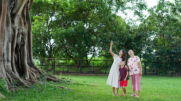 istock Family enjoys day outdoors, admiring large tree while pointing at something interesting. scene captures sense of wonder and connection with nature 2229363032