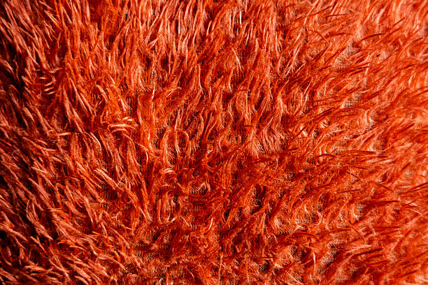 A detailed close-up reveals the intricate texture of vibrant orange fur.  Individual strands are visible, creating a dense, plush effect. The lighting accentuates the depth and richness of the color, showcasing the subtle variations in shade.  The overall impression is one of warmth and luxurious softness. The image is ideal for designers seeking a textured background or for projects emphasizing tactile elements.