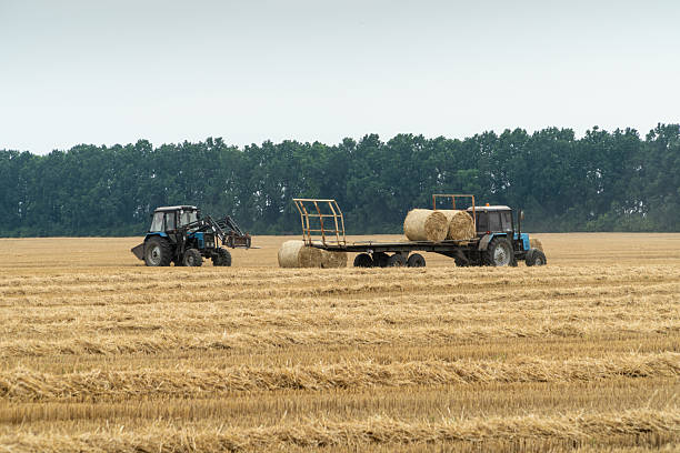 istock Tractors gathering hay rolls on a farmland. 2229366213