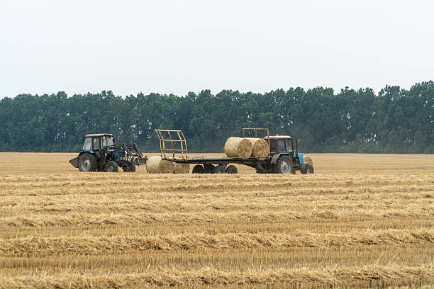 istock Tractors gathering hay rolls on a farmland. 2229366225