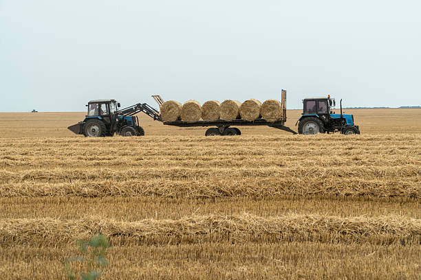 a field with hay bales and a working tractor on the background