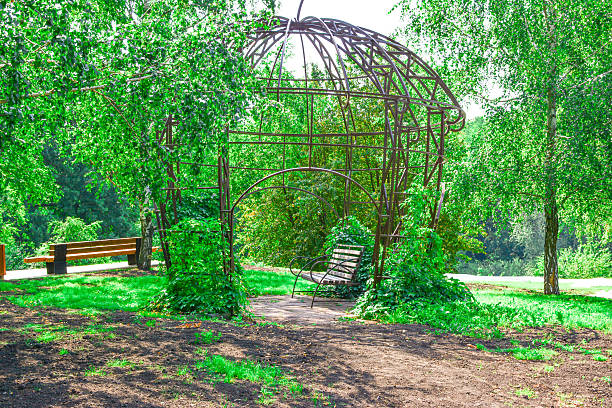 blurred landscaped concept landmark city park square nature place view of green pawn surrounded by trees and gazebo classic architecture unfocused silhouette building frame