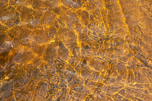 istock Shallow river water with ripples and sun glare on its surface. Abstract background texture 2229366937
