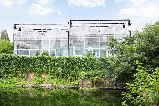 Greenhouse for growing vegetables