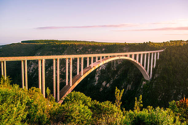istock Tsitsikamma National Park, South Africa 2229376454