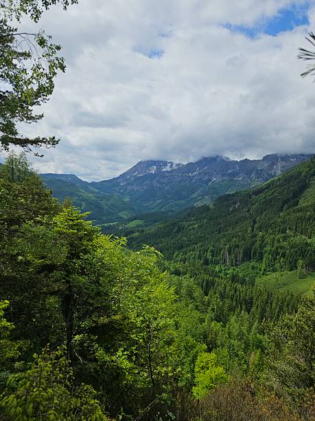 istock Scenic view in foggy Austrian mountain valey, Admont. 2229378951