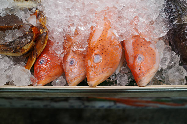 istock Fresh fish display on ice in market 2229387538