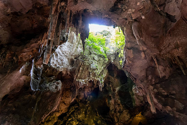 istock Exploration of a mystical cave with natural light streaming through an opening surrounded by lush greenery 2229388692