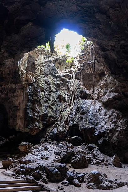 istock Cave interior with sunlight illuminating rocky formations and roots in a natural setting during daylight hours 2229388701