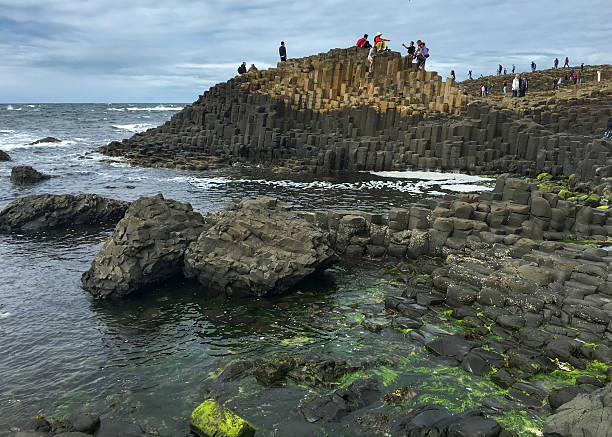 Close-up shot of interlocking basalt columns stretching into the sea, with tide pools filled with green algae and groups of unrecognizable visitors walking along the iconic rock structures, taken at 27 july 2016 in Giant Causeway, Belfast.\nConcept: Giant’s Causeway, basalt hexagons, volcanic coastline, Northern Ireland tourism, geological formation, natural attraction, seashore rock photography