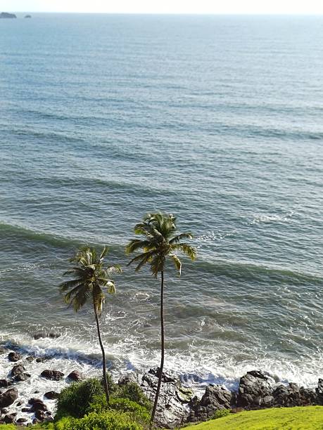 istock Two palm trees on the shore. Arabian Sea. 2229396590