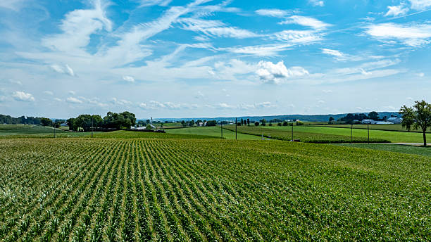 istock Lush Green Fields Stretch Under a Bright Blue Sky in a Rural Landscape 2229396784