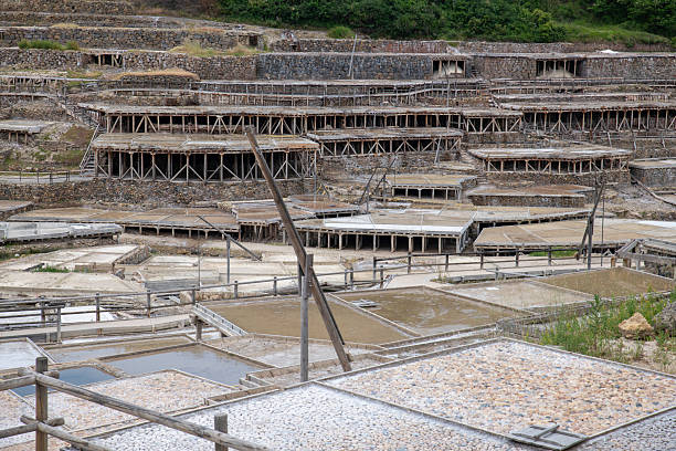 istock Authentic salt flats showcasing salt winning pools with individuals observing the process 2229399700