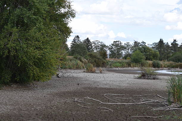 istock dried out lake in a heat summer 2229403840