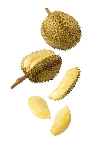 istock Falling Durian isolated on white background with clipping path, full depth of field 2229407081