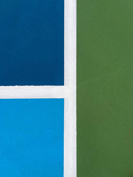 istock Pickleball Court Closeup View 2229407593