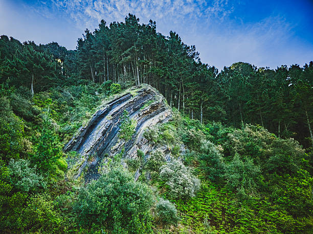 Rock formation surrounded by lush forest vegetation in Deba, Basque Country, northern Spain, captured on a sunny spring day, showing geological layers and natural landscape.
