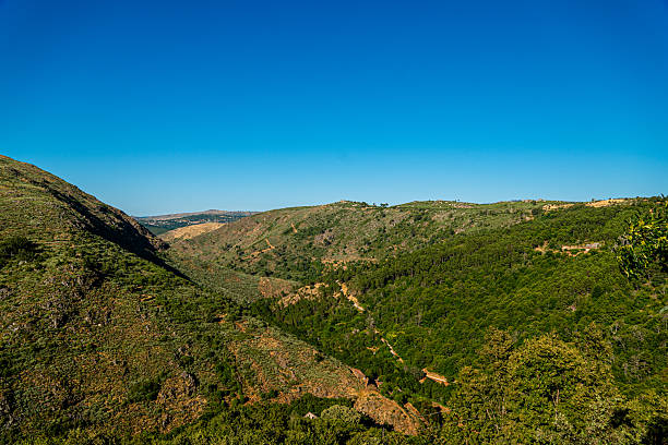 istock The Mondego Walkways. 2229409771